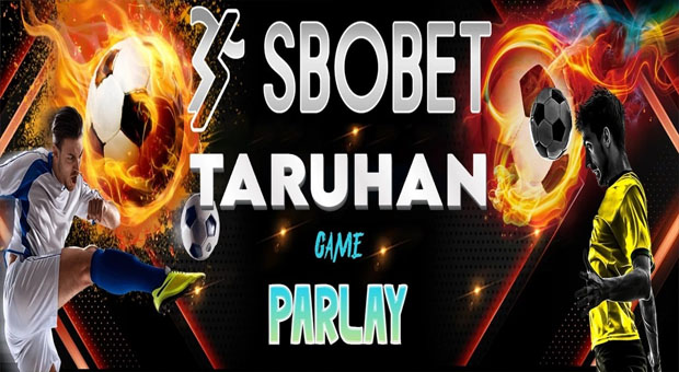 7mmbet Betting